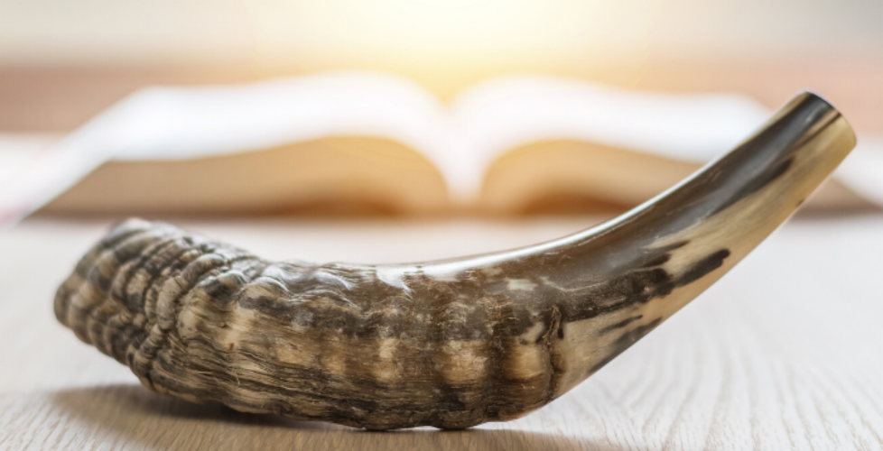 Shofar with an out of focus book in the background